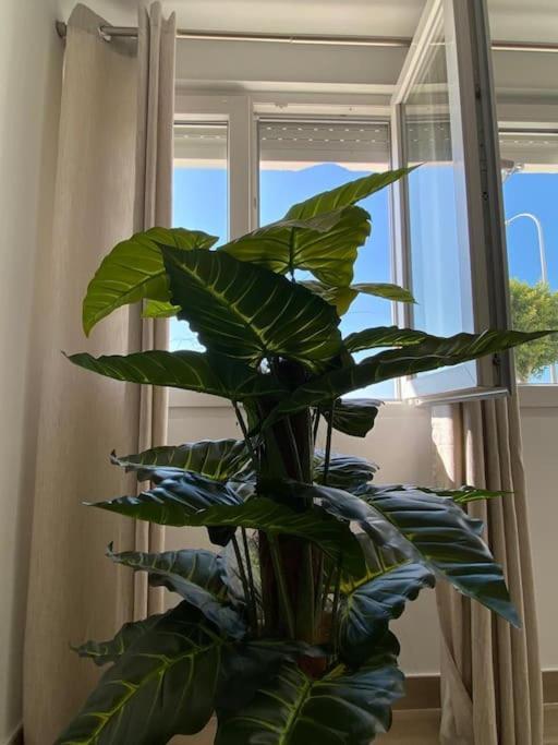 דירות Almuñécar Sea Escape 2 מראה חיצוני תמונה
